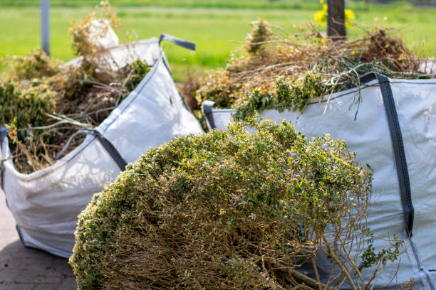 Trusted Edgewood, IN Junk Removal Experts
